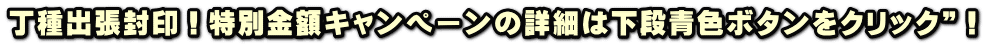 丁種出張封印！特別金額キャンペーンの詳細は下段青色ボタンをクリック”！